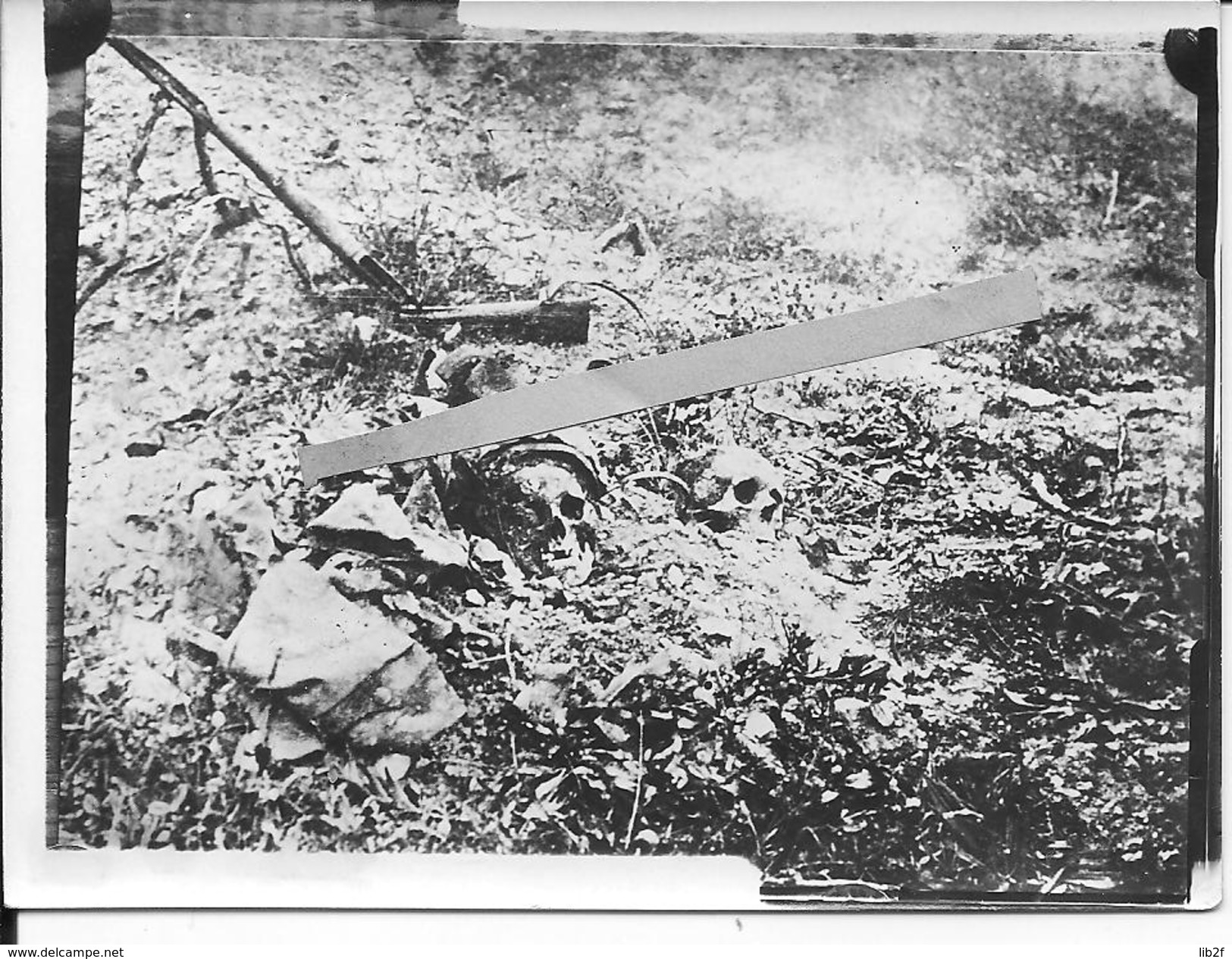 Charnier Cadavres De Soldats Français Sur Le Front Crânes 1 Photo 1914-1918 14-18 Ww1 1wk - War, Military