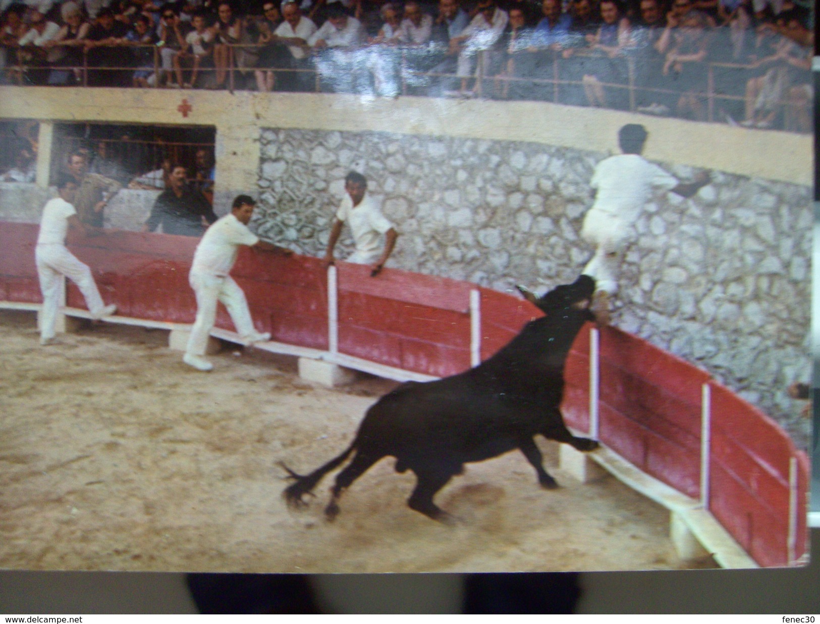 Course Provencale Aux Arenes - Corrida