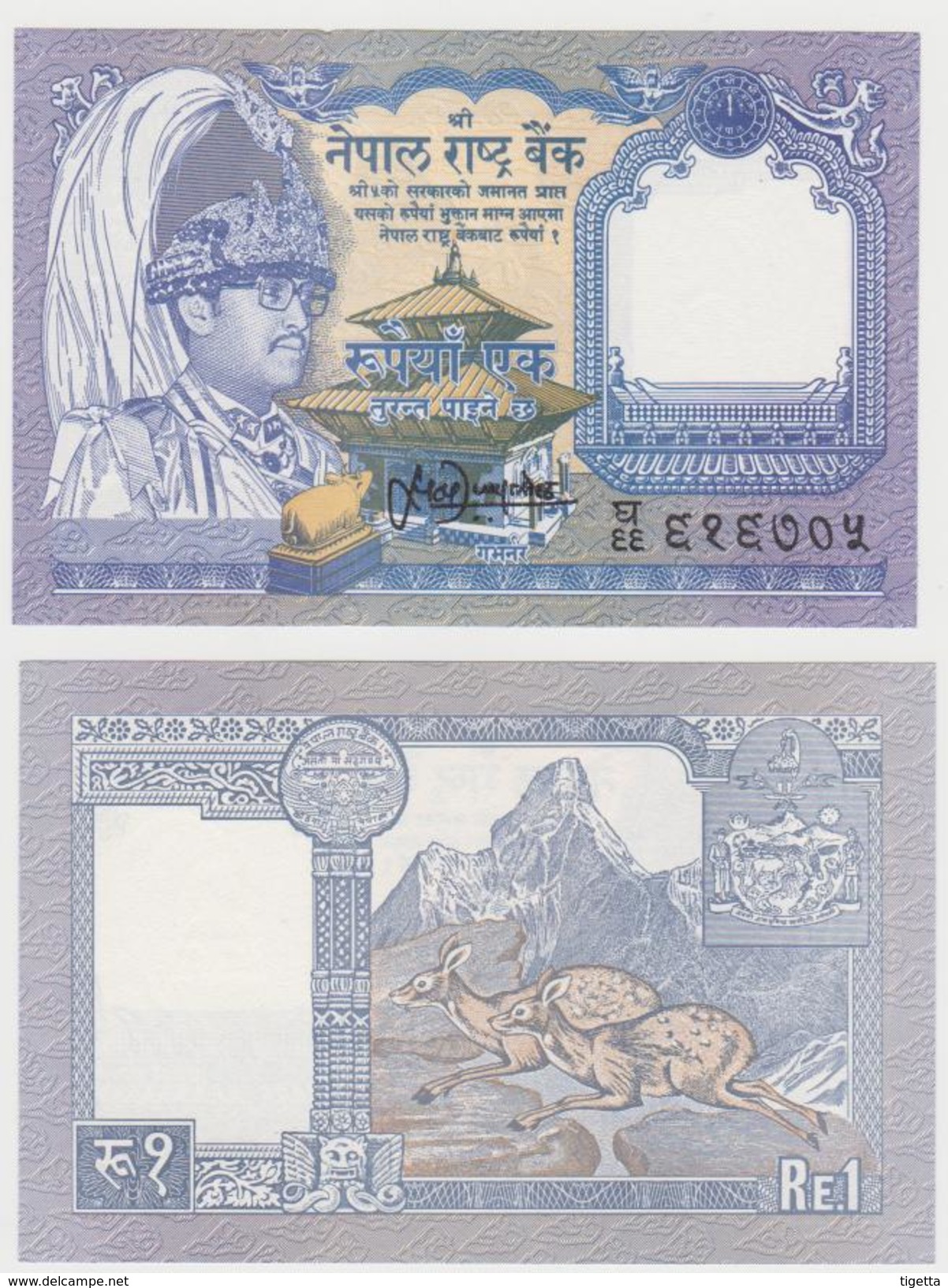 NEPAL  1 RUPEE  FDS - Nepal