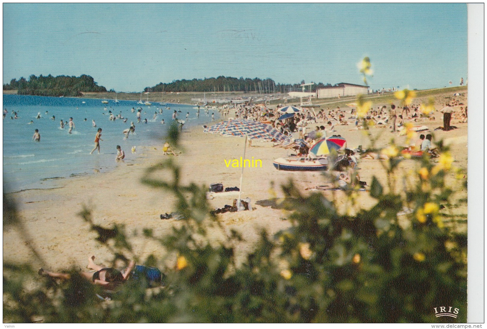 Mesnil St Pere   Le Lac De La Foret D Orient  La Plage - Autres & Non Classés