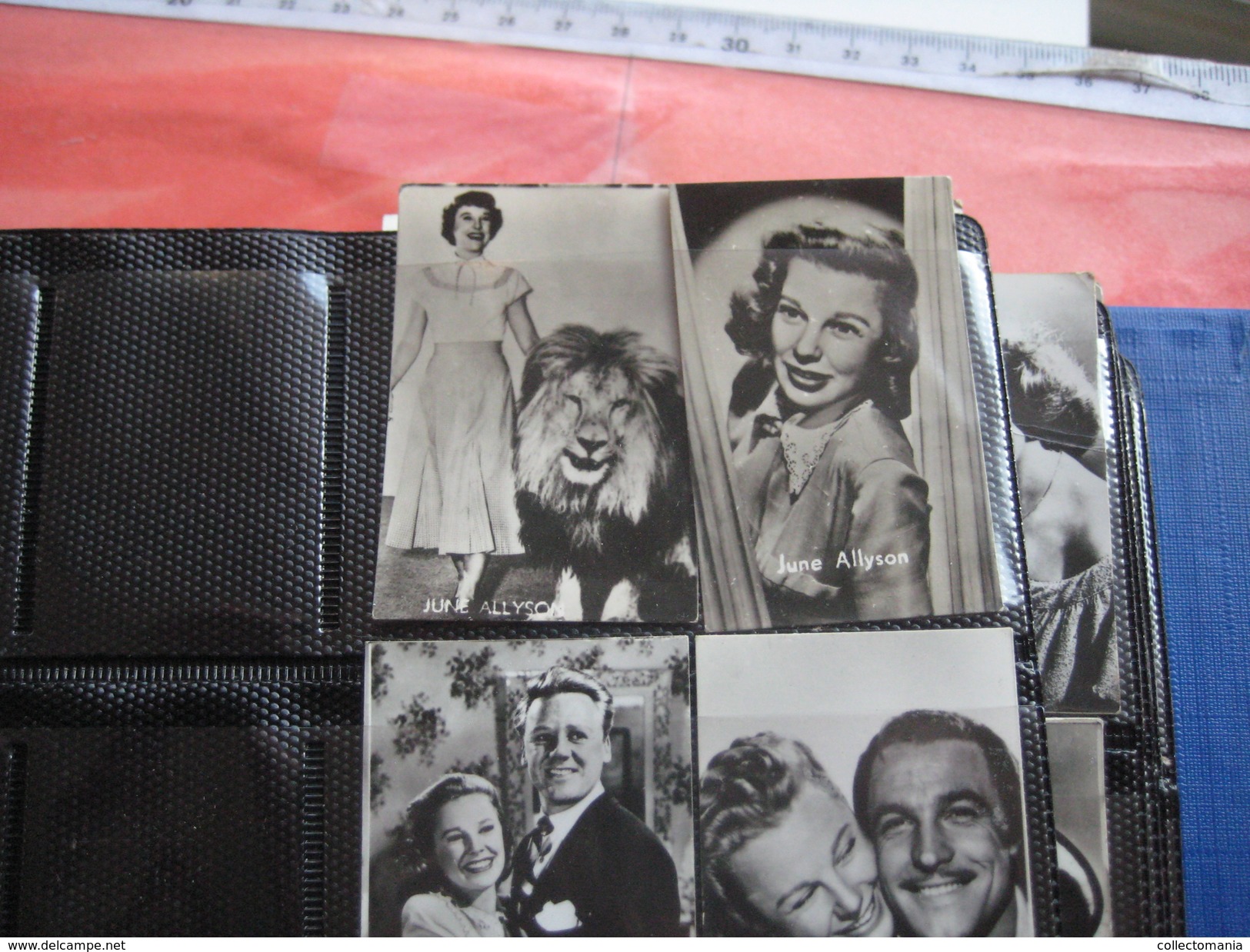 Belgian Chewing Gum Ltd - Only Film Stars - Collection More Than 500 Photos  - 5cmX7cm AND 4cmX5,8cm  From Fifties VG - Publicité Cinématographique