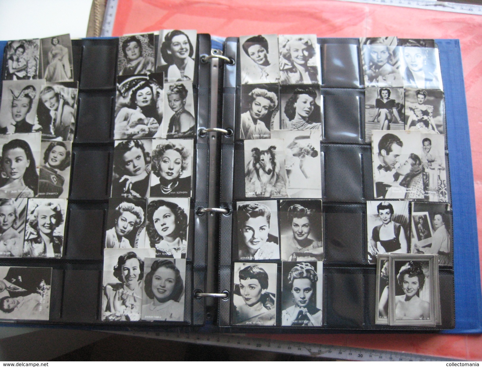 Belgian Chewing gum Ltd - only Film stars - collection more than 500 photos  - 5cmX7cm AND 4cmX5,8cm  from fifties VG