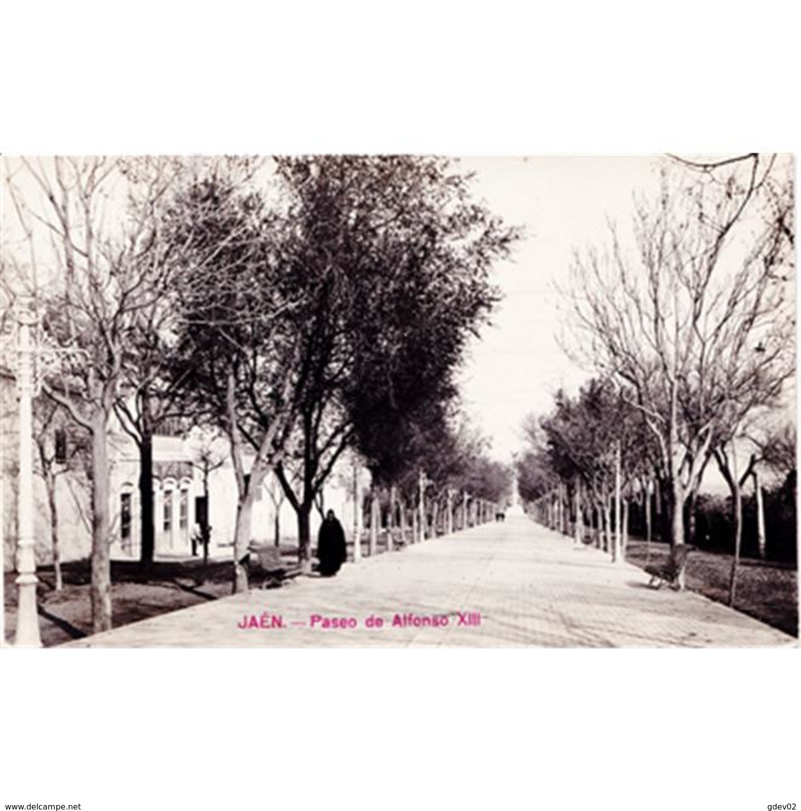 JNTP7830-LFTD9688.Tarjeta Postal De JAEN.Edificios,arboles,personas En El PASEO DE ALFONSO Xlll En  JAEN - Jaén