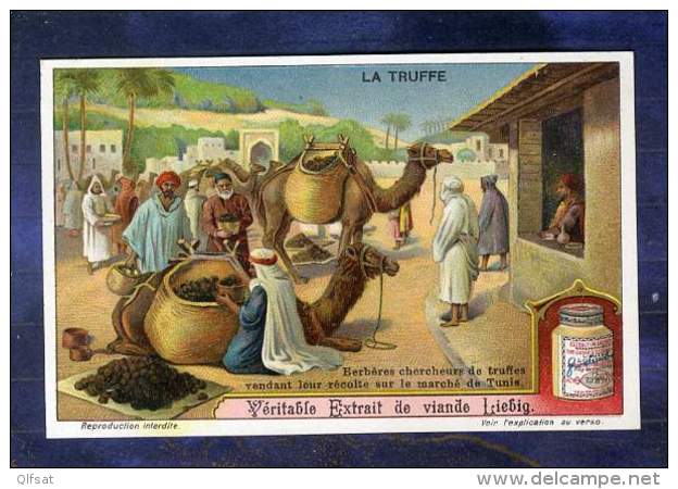 Chromo Liebig S1031 Chercheur Truffe Berbere Tunis Berber Truffle Digger Chameau - Liebig