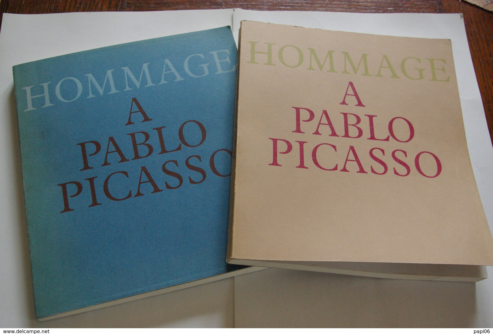 Hommage à PABLO PICASSO. 2 Tomes - Art