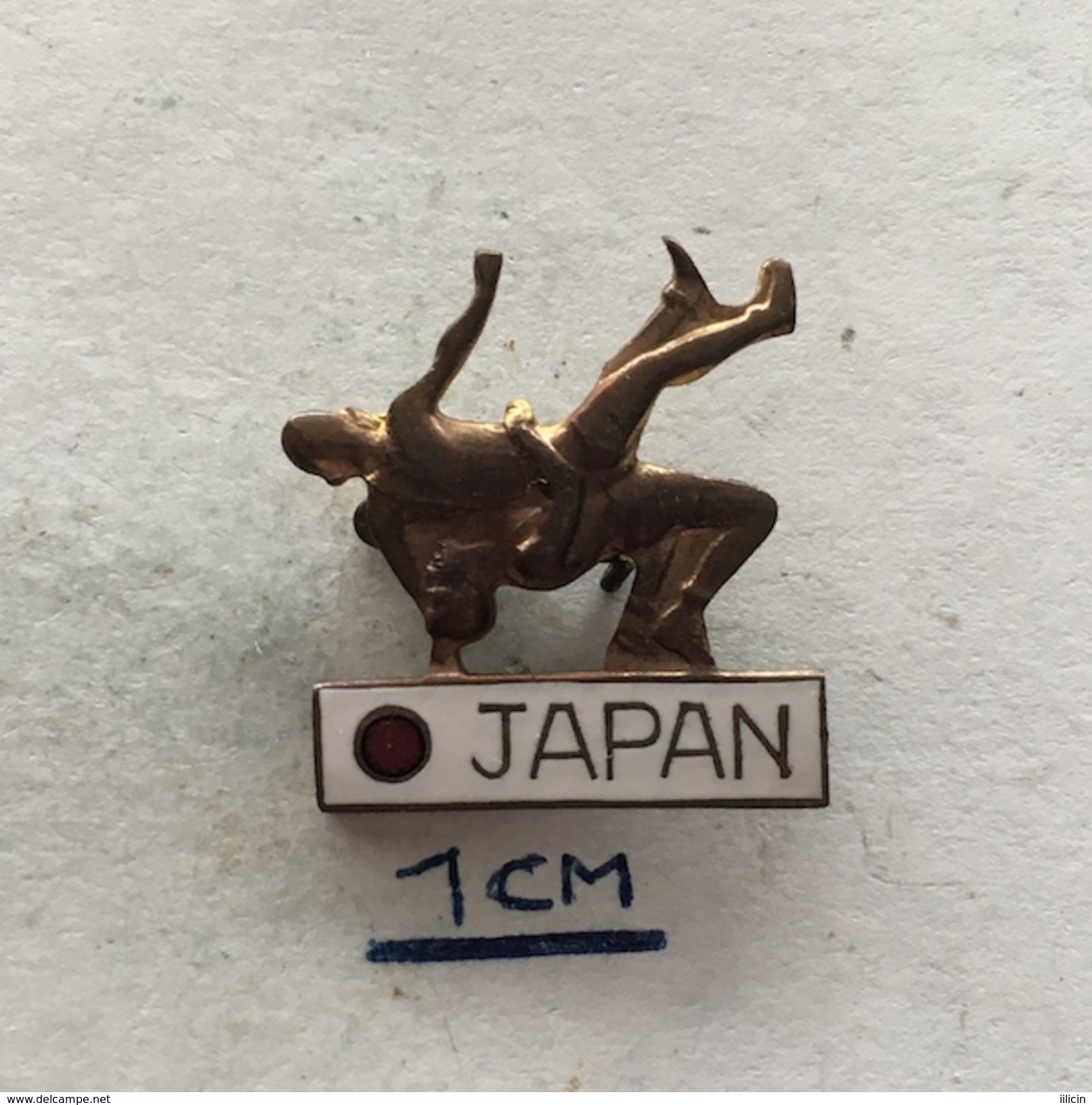 Badge (Pin) ZN004347 - Wrestling Japan Federation / Association / Union - Lucha