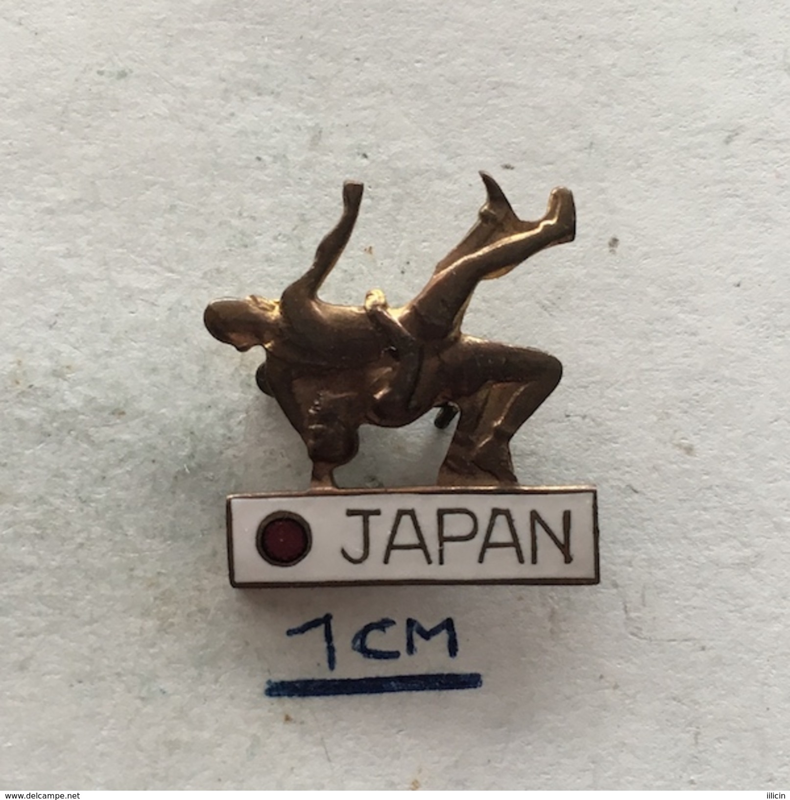 Badge (Pin) ZN004347 - Wrestling Japan Federation / Association / Union - Lotta