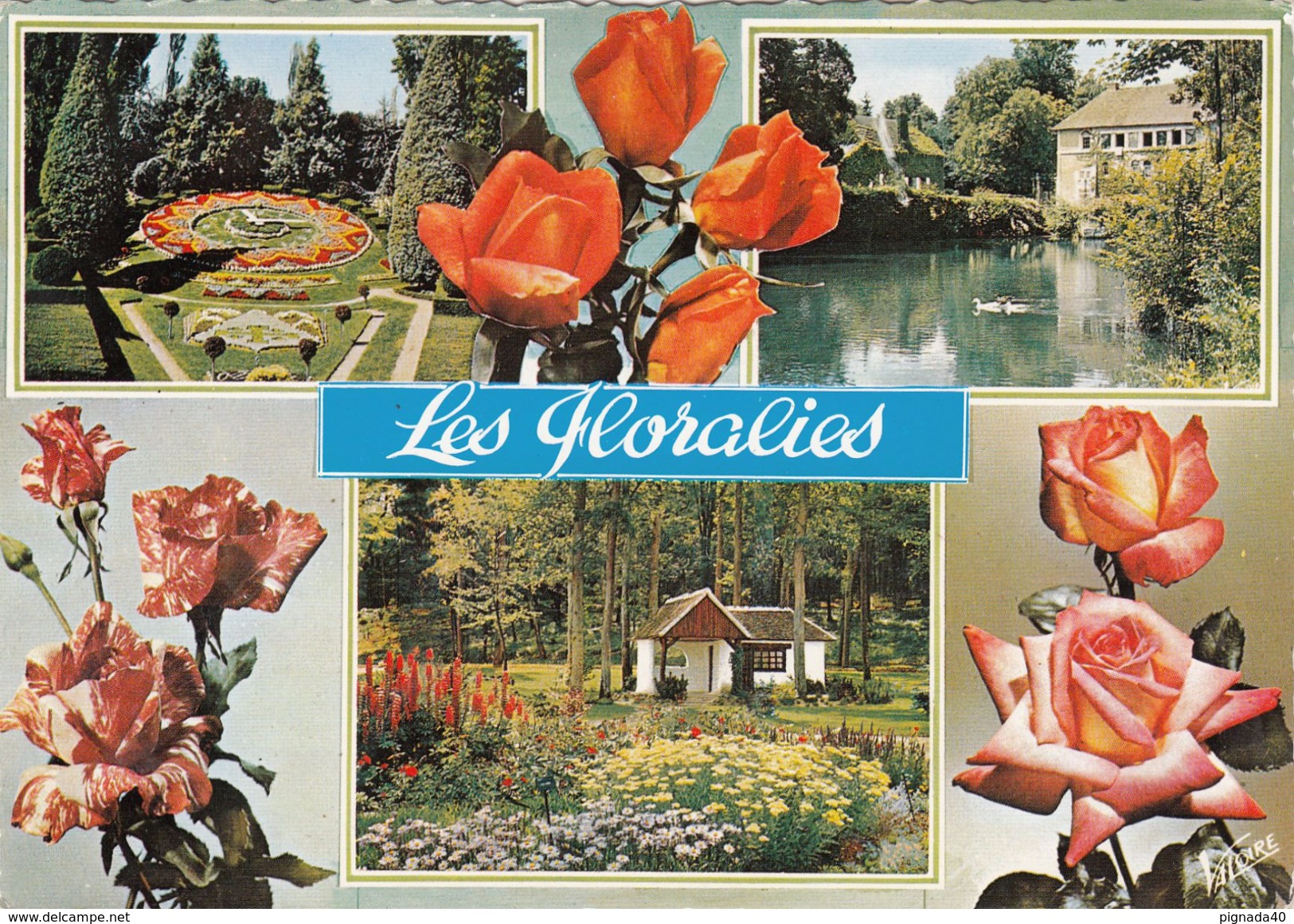 G , Cp , FLEURS , Orléans La Source - Olivet , Souvenir Des Floralies , Multi-Vues - Flores