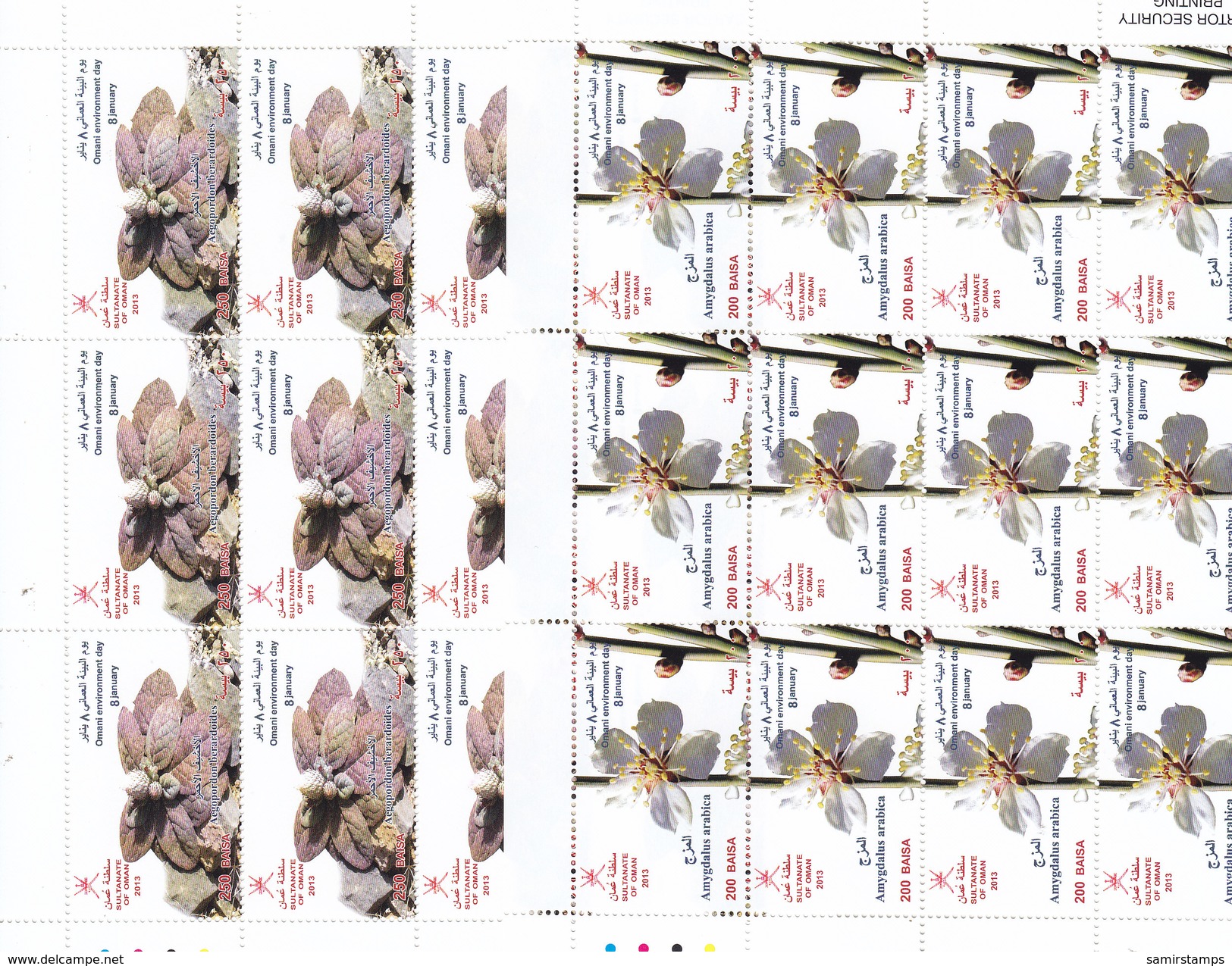 Oman 2013 Environment Day Flowers, 4 Sheets Of 12 Stamps Each Unfolded MNH Compl.set-SKRILL PAY ONLY - Oman