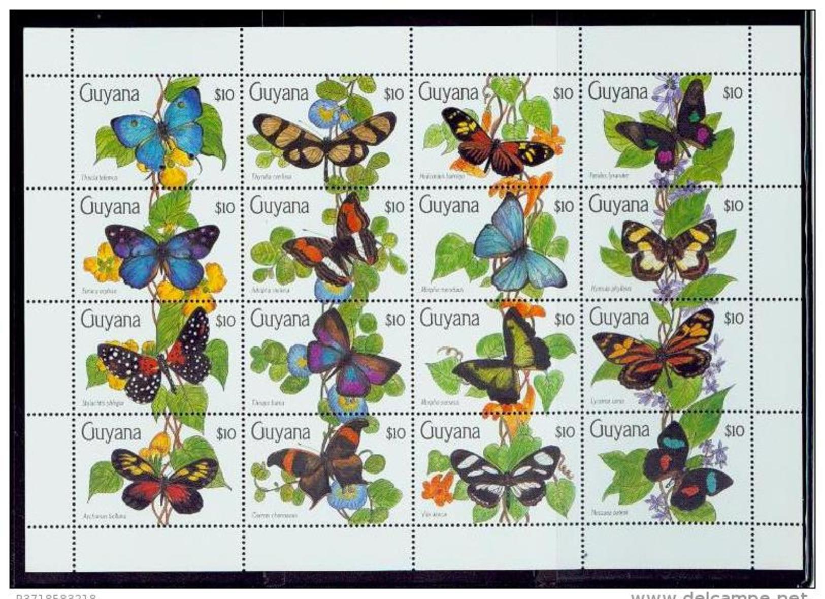 Guyana /1990 Butterflies,vlinders,papi Llons Sheet Of 16-stamp#3//MNH.very Nic - Farfalle