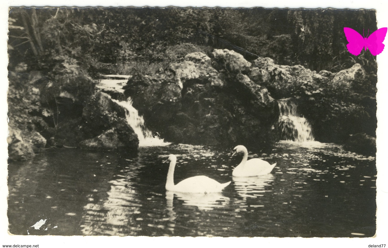 CLERES - Parc Zoologique - La Cascade - Clères