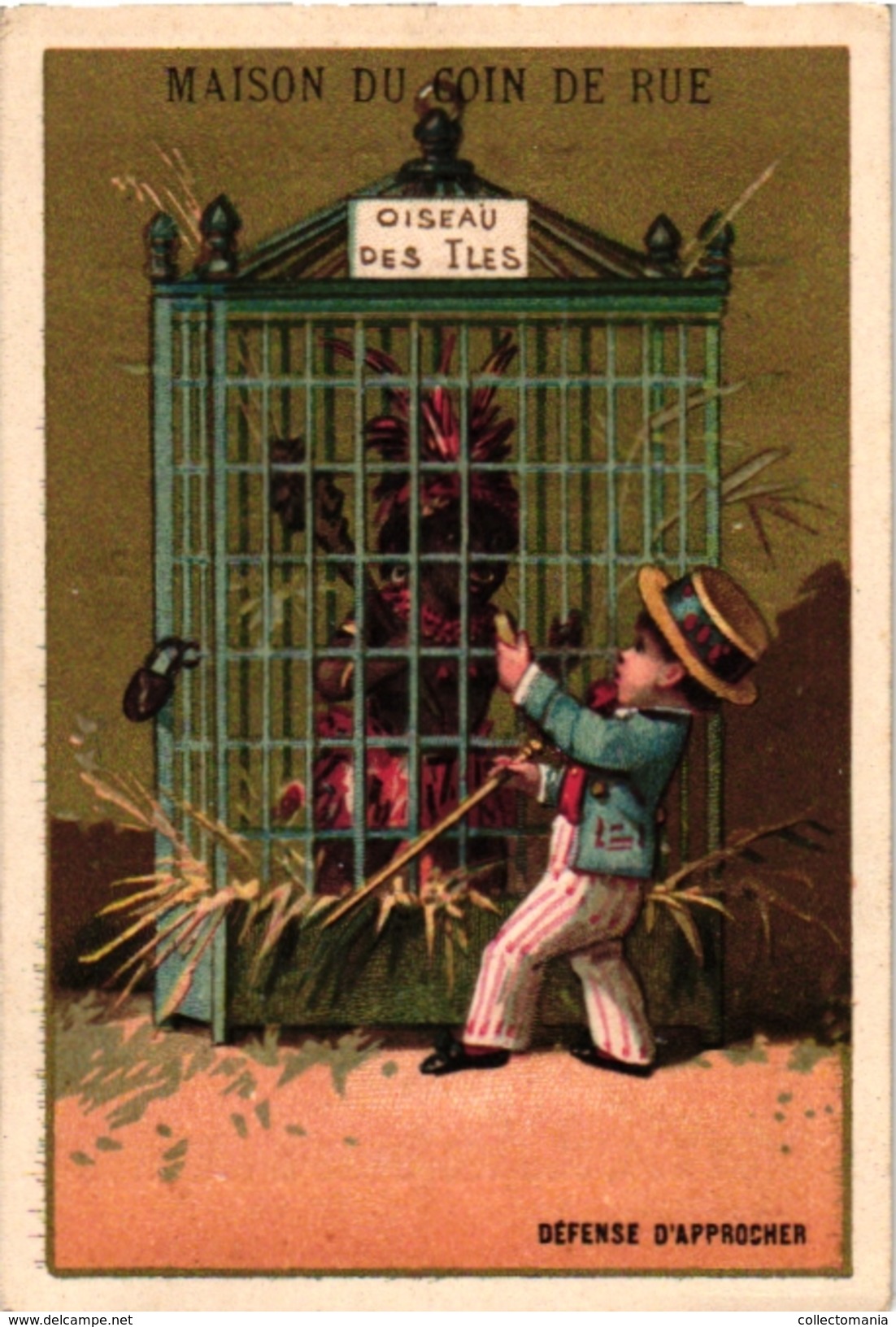 6 Cards C1900 Litho Paris Maison Franchomme Maison du Coin de Rue  Bird Cages Pierrot Printer Champenois