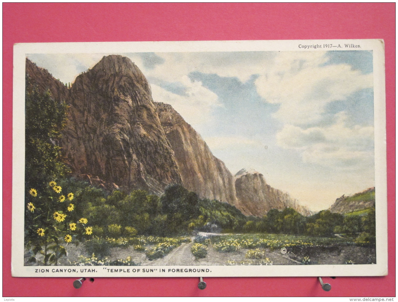 Etats-Unis - Utah - Zion Canyon - Temple Of Sun In Foreground - Scans Recto-verso - Zion