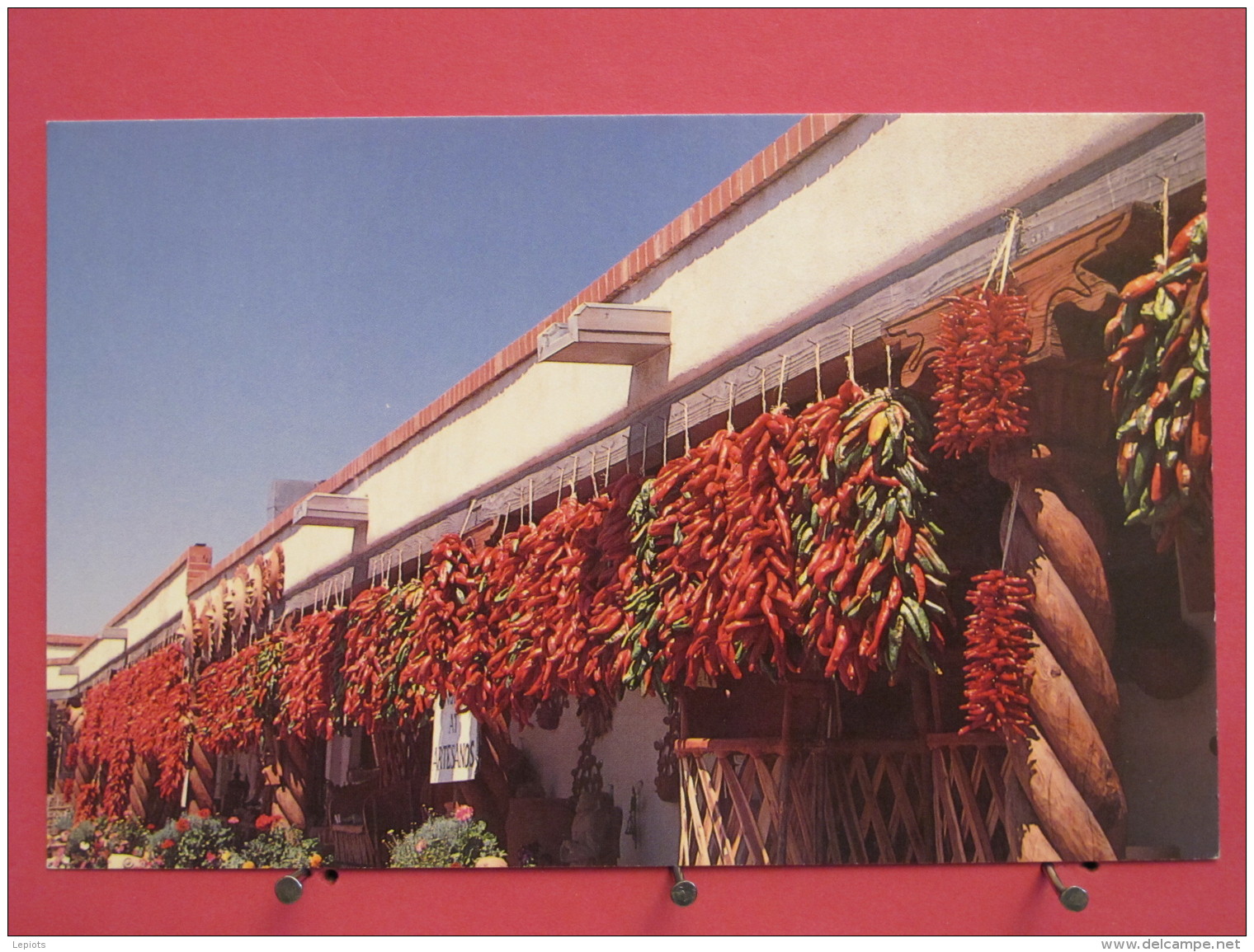 Etats-Unis - New Mexico - Chili Ristras - Excellent état - Scans Recto-verso - Santa Fe