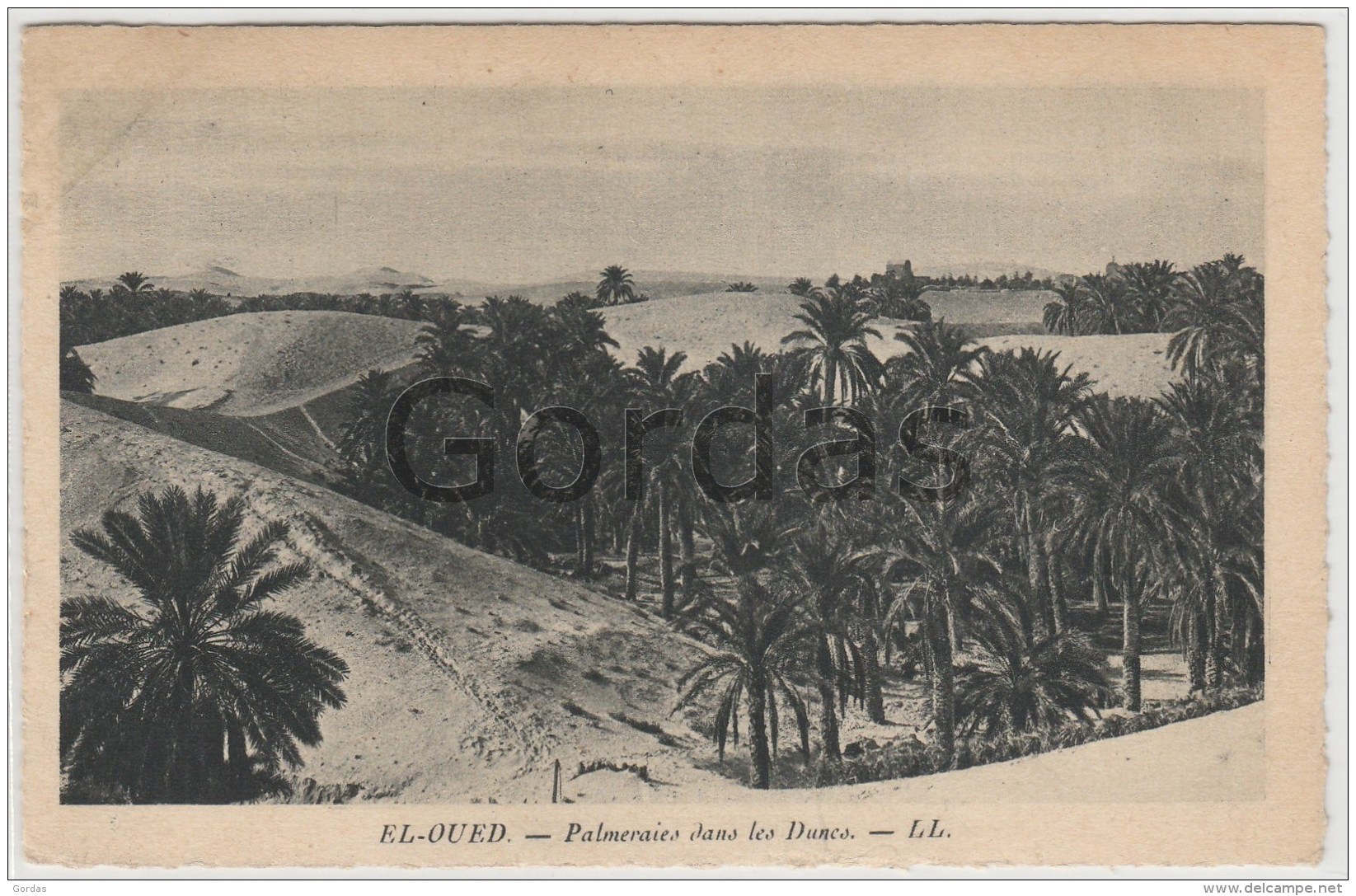 Algeria - El-Oued - El-Oued