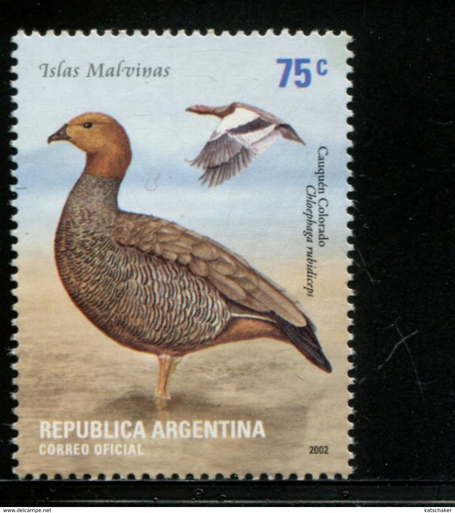 425148772 ARGENTINIE DB 2002 POSTFRIS MINTNEVER HINGED POSTFRIS NEUF YVERT 2295 2296 2297 2298 Birds Vogels - Unused Stamps