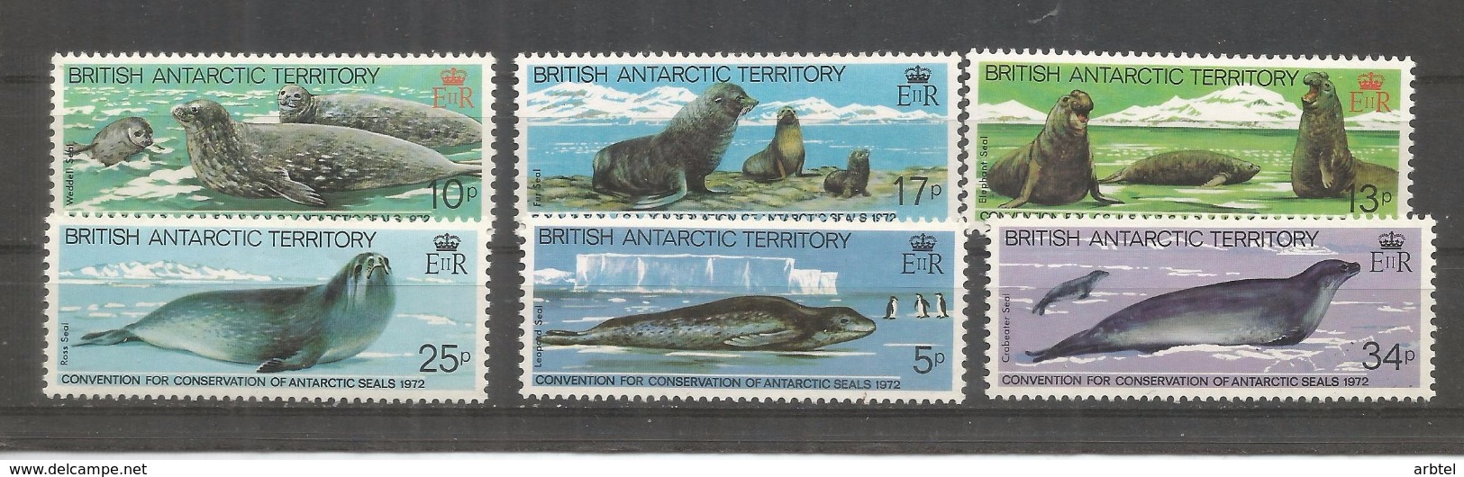 BRITISH ANTARCTIC TERRITORY  ANTARTIDA POLO SUR ANTARCTICA FOCAS SEAL MAMIFERO - Antarctic Wildlife