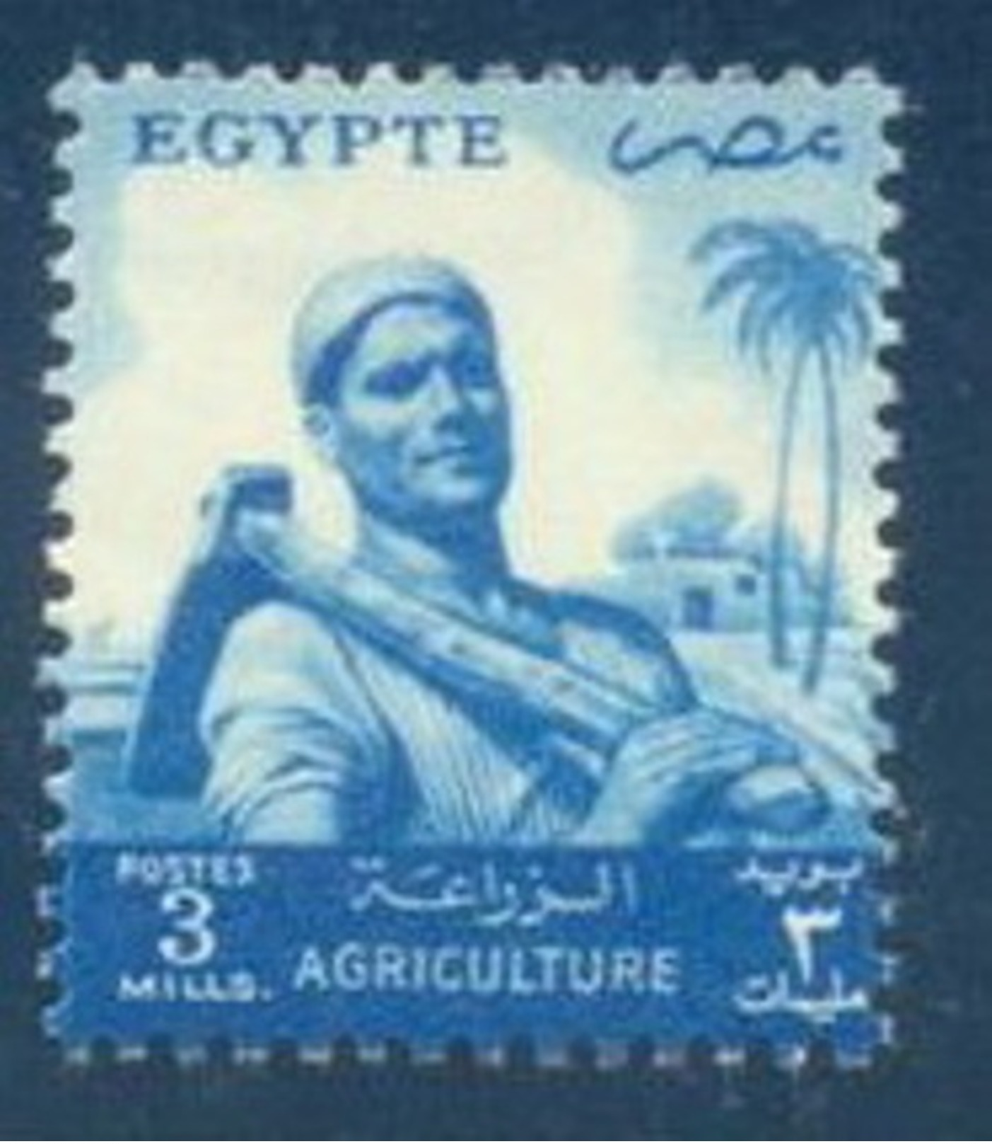 EGYPT  1954  -  AGRICULTURE  MNH  VF - Nuovi