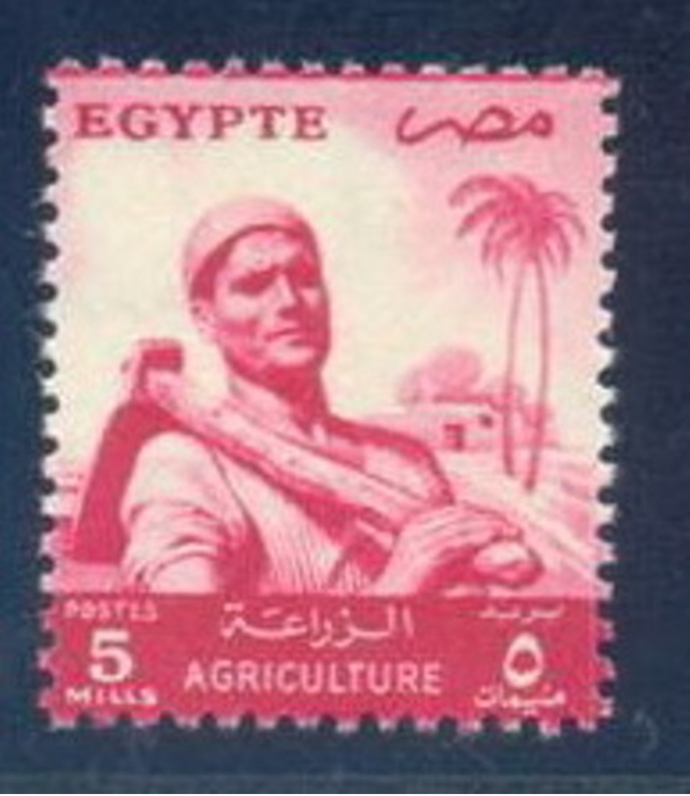 EGYPT  1954  -  AGRICULTURE  MNH  VF - Nuovi