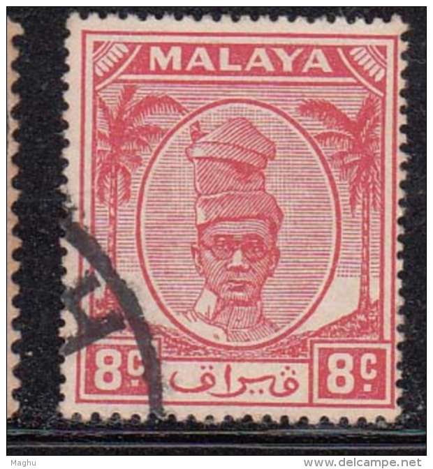 8c Scarlet Used Perak 1950, Malaya - Perak