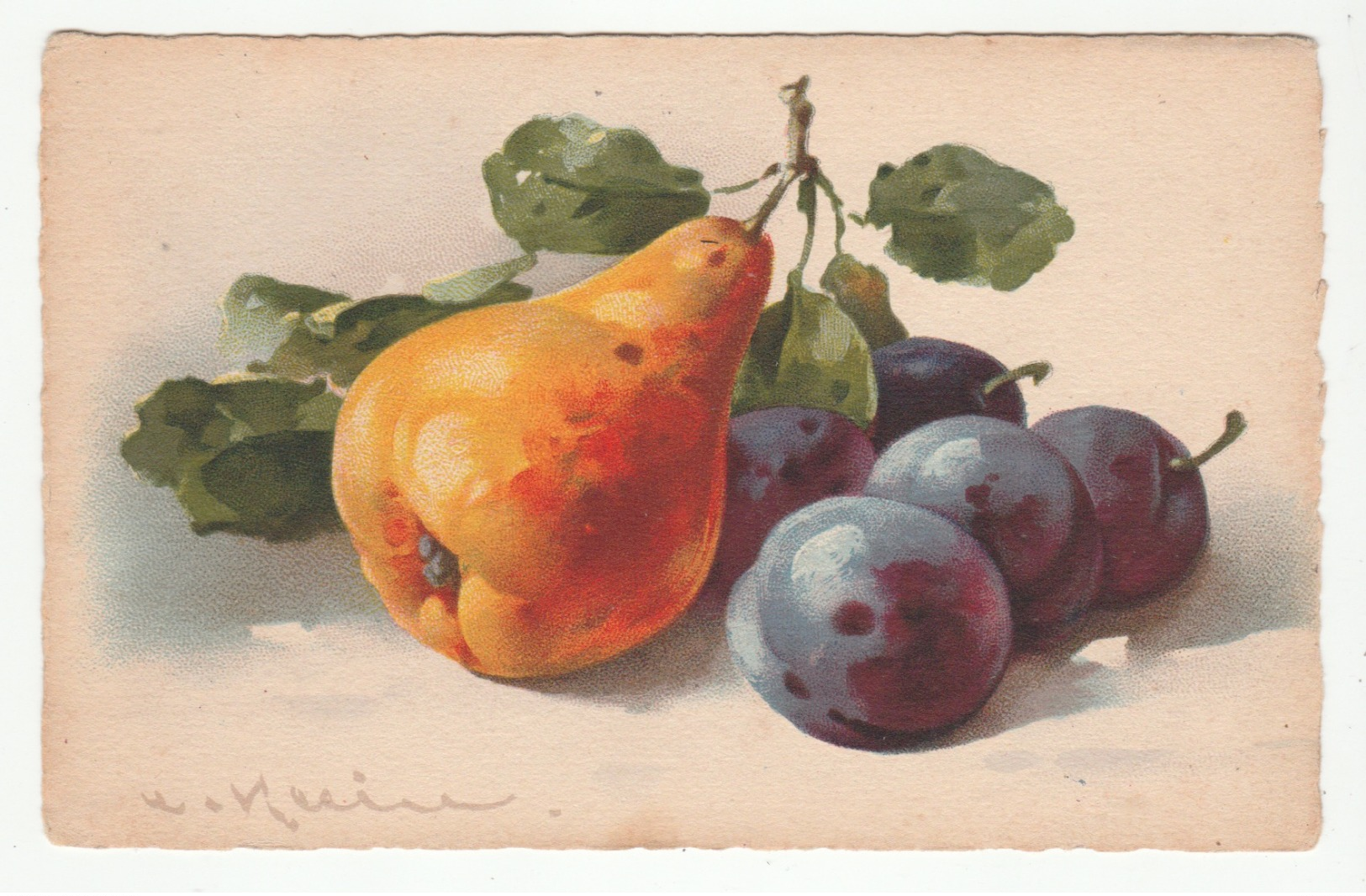 Catharina KLEIN - Fruits, Poire, Prunes, Nature Morte - édit. Jounok, 237 - Klein, Catharina