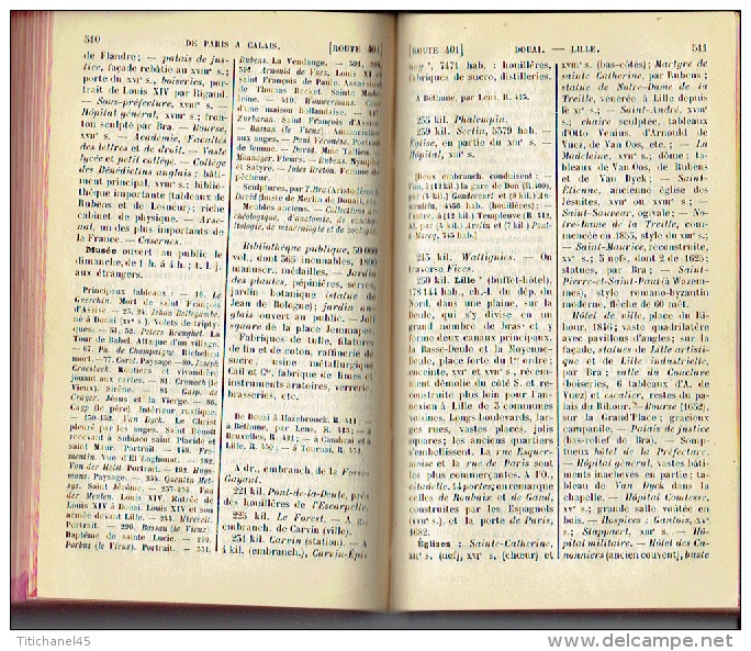 GUIDE DIAMANT JOANNE - 1883 - LA FRANCE - 690 pages + 2 cartes + 88 pages de publicité