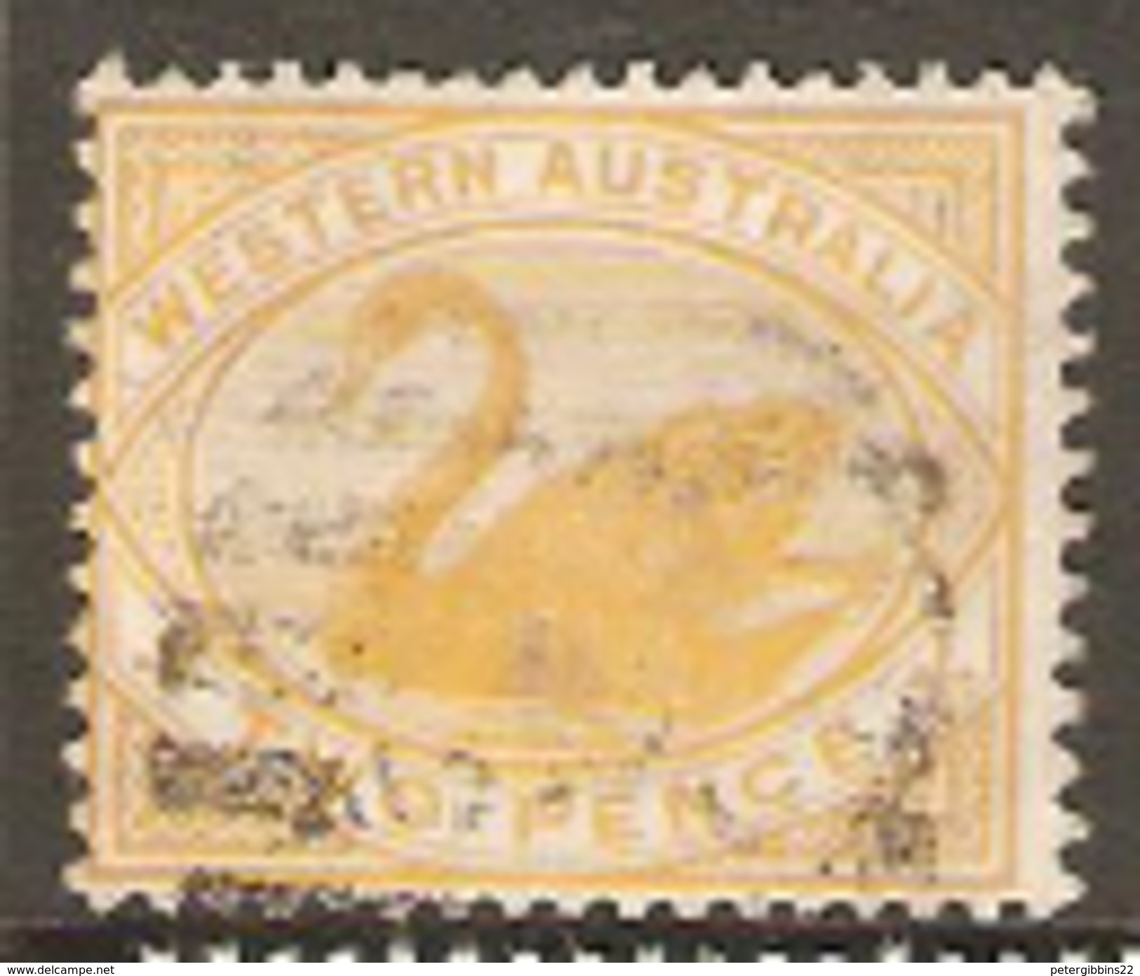 Western Australia 1898 SG 113  Fine Used - Used Stamps