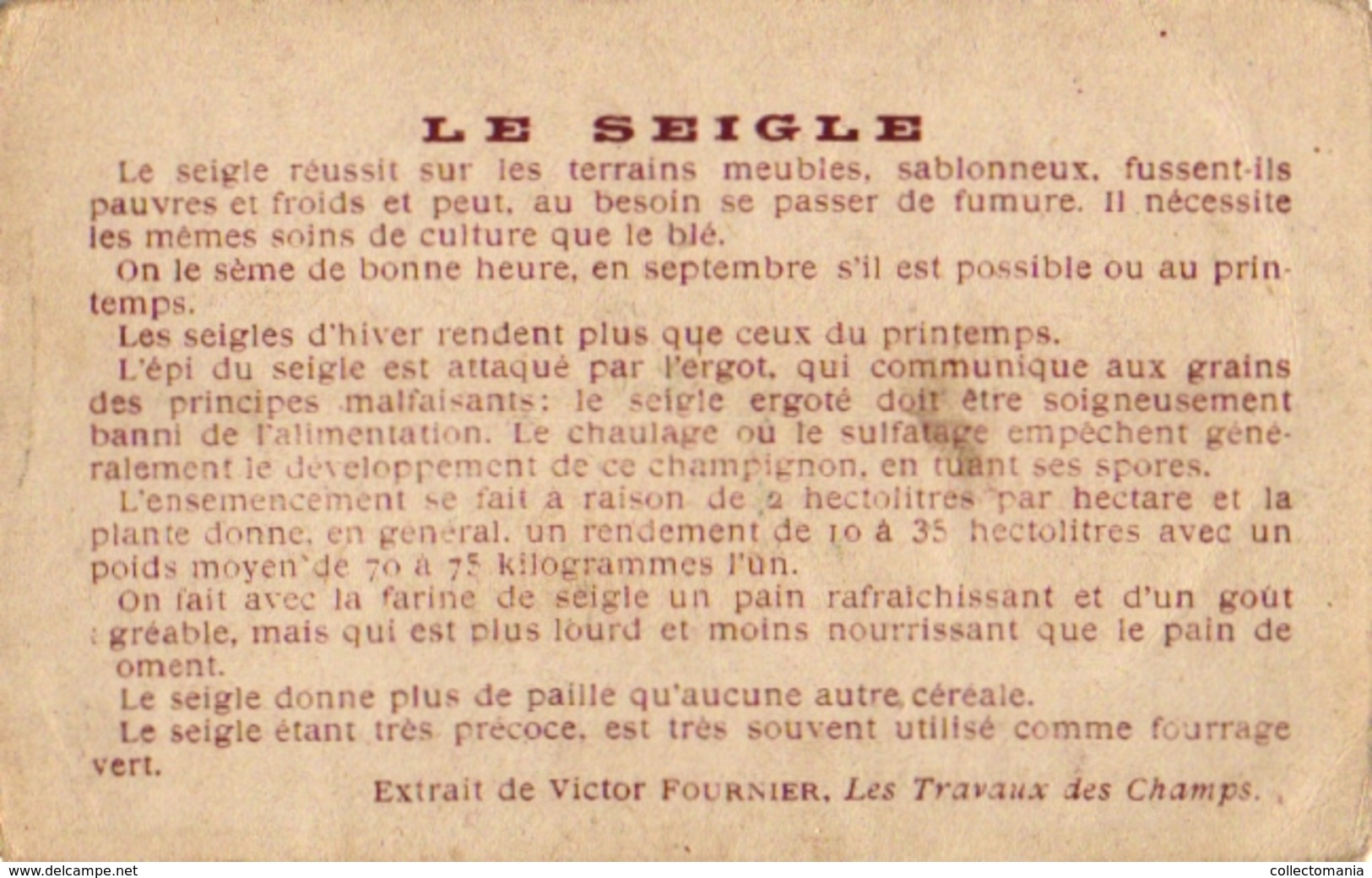 8Cards C1900 Pub Extrait Victor Fournier Plantes Utiles Useful Plants Olive tree Olivier seigle rye Betterave Vigne Vine