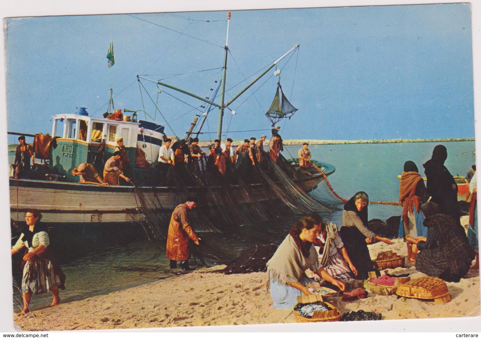 PORTUGAL,PORTUGUES,PORTUGUESA,COIMBRA,BEIRA MONDEGO,metier De La Peche à La Sardine,sardinha - Coimbra