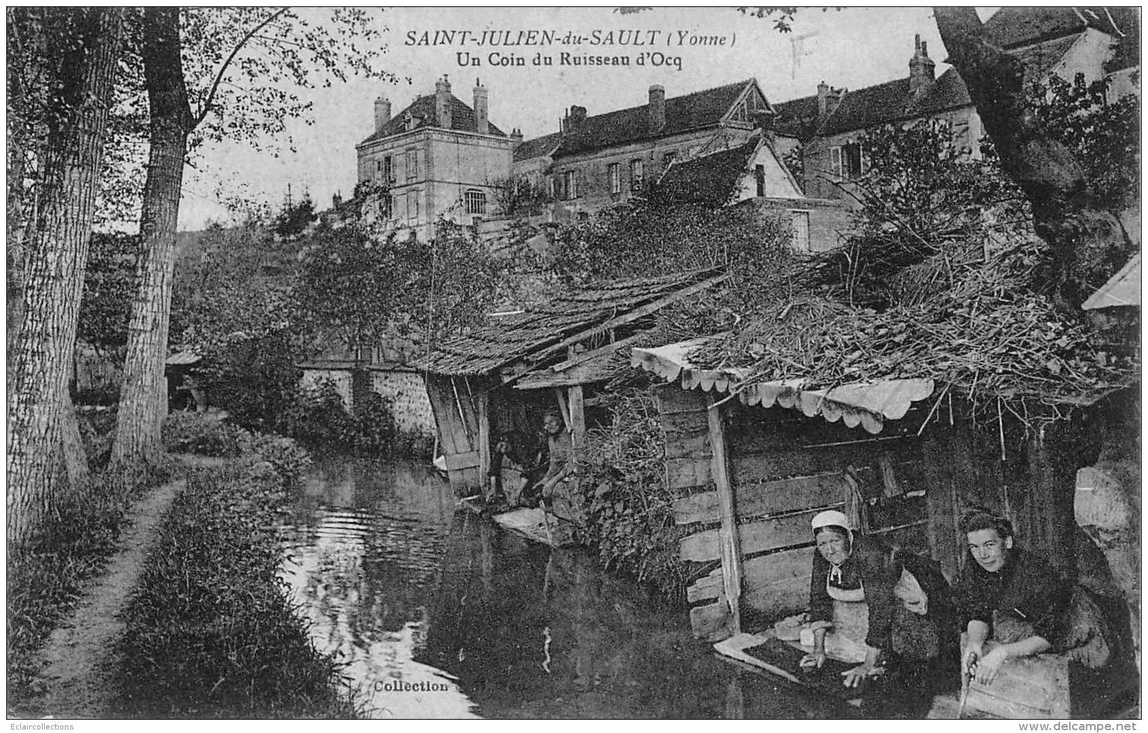 Saint Julien Du Sault     89      Un Coin Du Ruisseau D'Ocq .Lavoirs         (voir Scan) - Saint Julien Du Sault