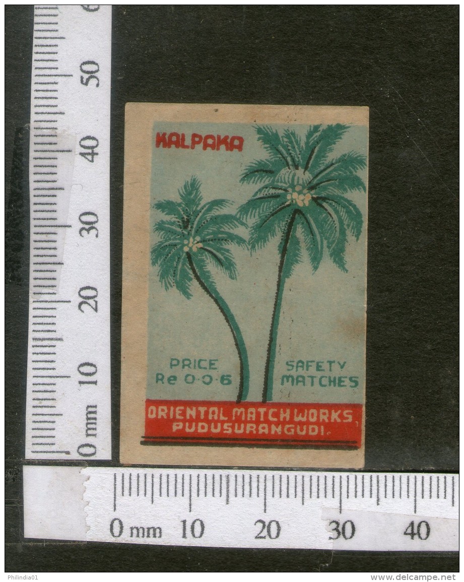 India 1950's Coconut Tree Kalpaka Brand Match Box Label # MBL240 - Matchbox Labels