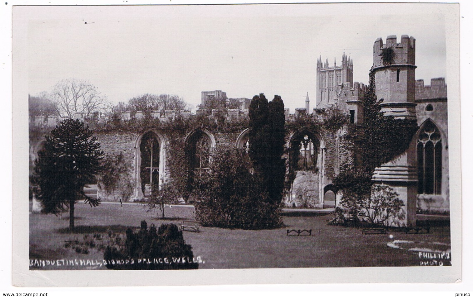 UK2624     WELLS : Bishop's Palace - Wells