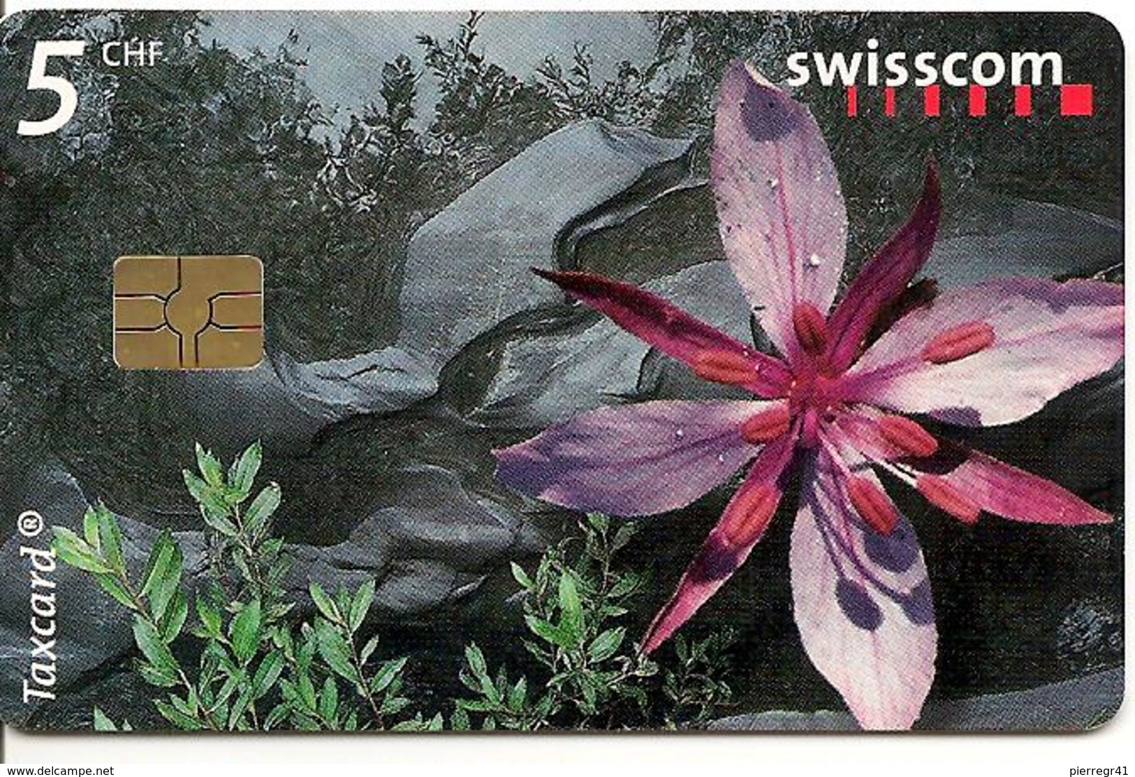 CARTE-PUCE-2005-SUISSE-5CHF-FLEUR Des Zones Alluviales-TBE - Fiori