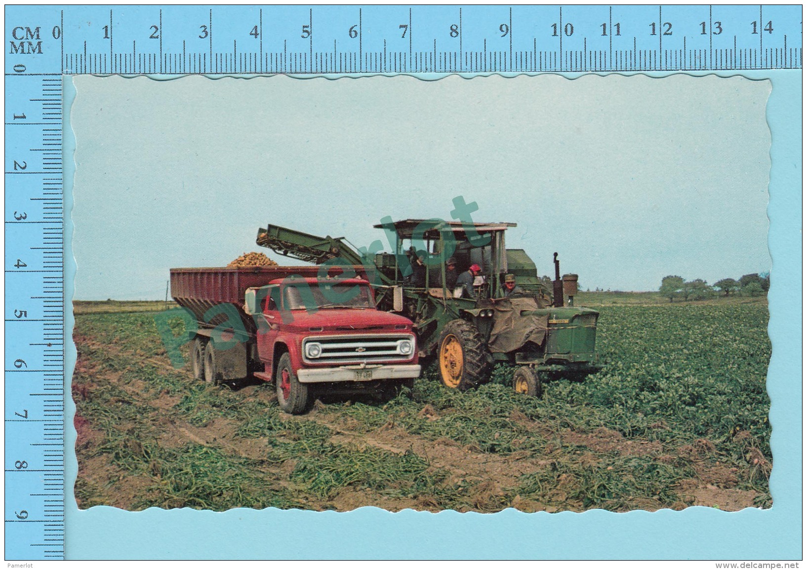 Aroostook County, Maine USA - Potato Harvester -  2 Scans - Cultures