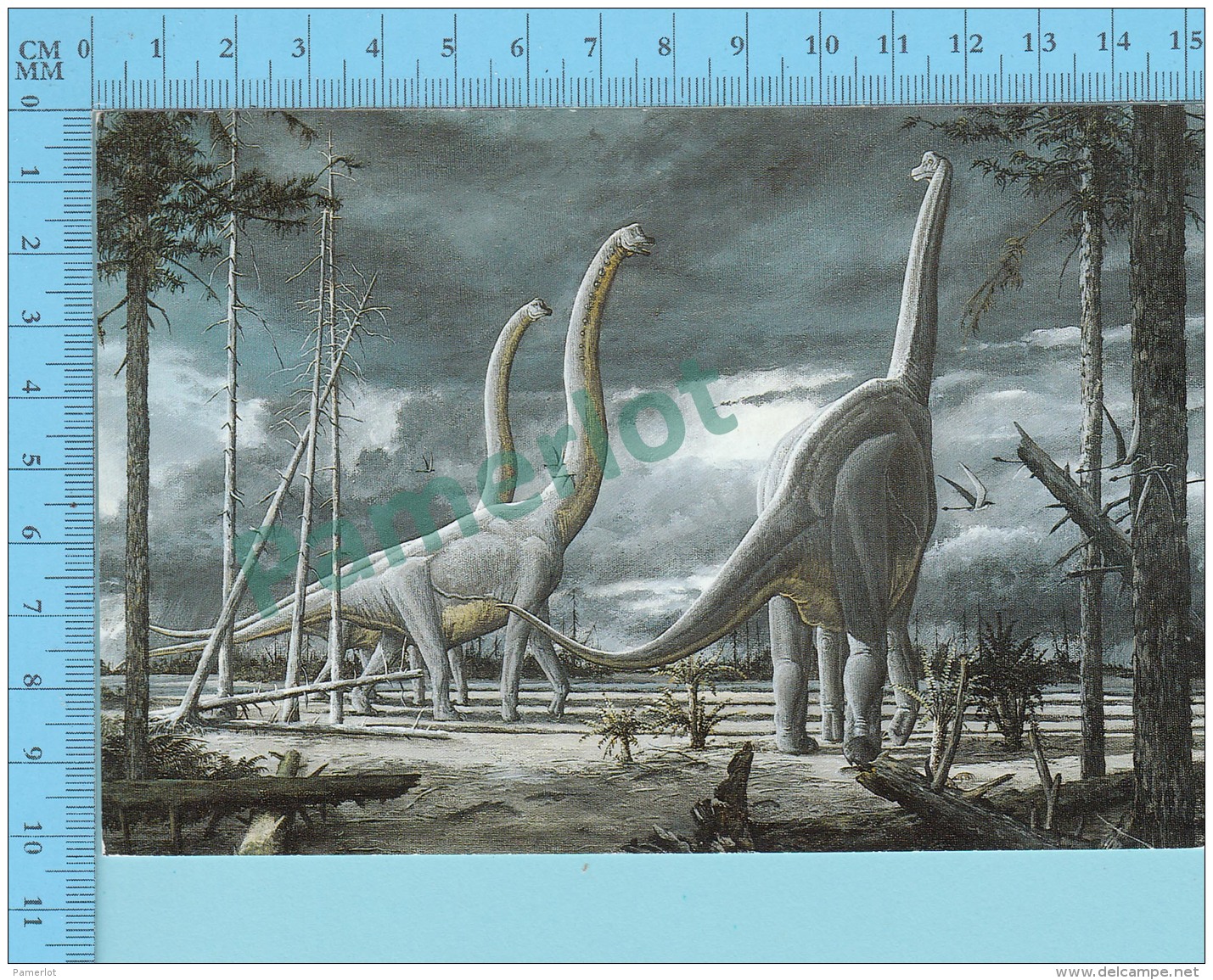 Dinosaure Dinosaur  , Nodosaur  - Description à L'arriere, Description At The Back  - 2 Scans - Autres & Non Classés