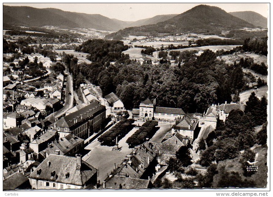 88 EN AVION AU-DESSUS DE..... SENONES  Place Du Château - Senones