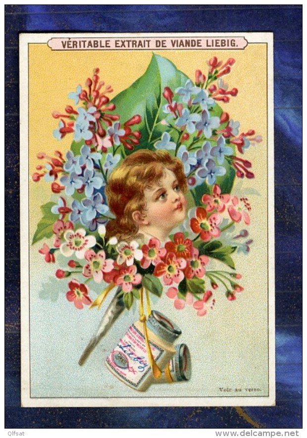 CHROMO LIEBIG S444 ENFANT FLEUR FLORE FIGLI LILAS Flower Girl Lilac Trade Card - Liebig