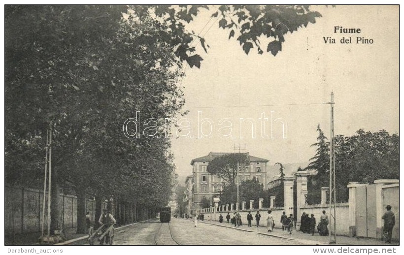 T2/T3 Fiume, Via Del Pino / Street With Tram (EK) - Unclassified