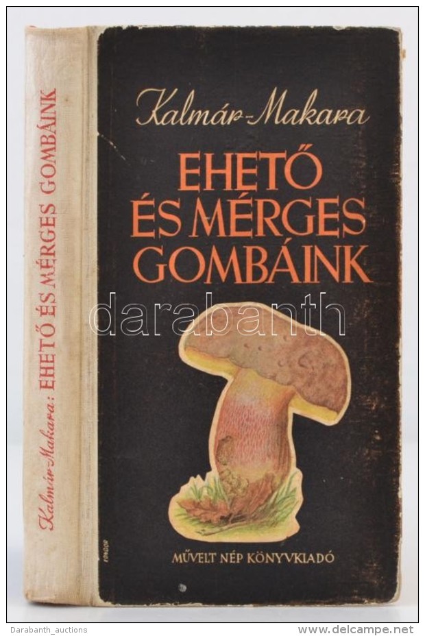 Kalm&aacute;r Zolt&aacute;n - Makara Gy&ouml;rgy: EhetÅ‘ &eacute;s M&eacute;rges Gomb&aacute;ink. Bp., 1955, MÅ±vel... - Unclassified