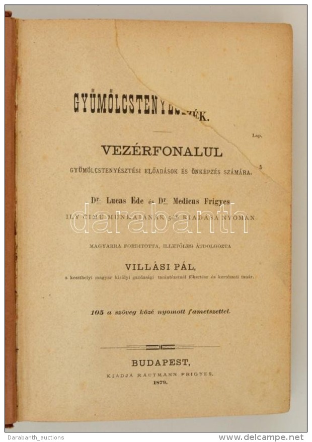 3 MÅ± Egybe K&ouml;tve: Dr. Lucas Ede-Dr. Medicus Frigyes: Gy&uuml;m&ouml;lcsteny&eacute;szt&eacute;s. Bp., 1879,... - Unclassified