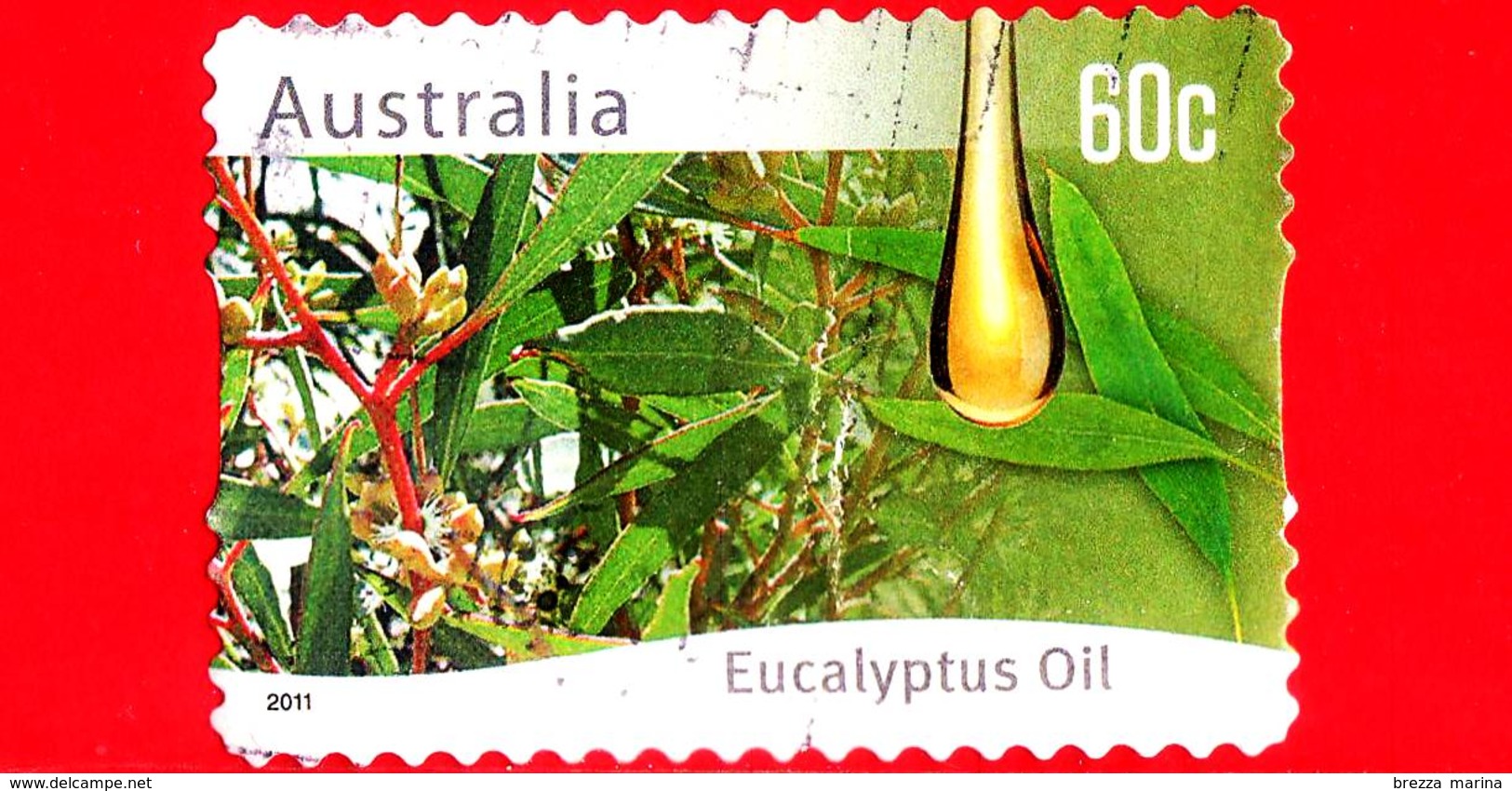 AUSTRALIA - Usato - 2011 - Agricoltura Australiana - Eucalyptus Oil - 60 - Usati
