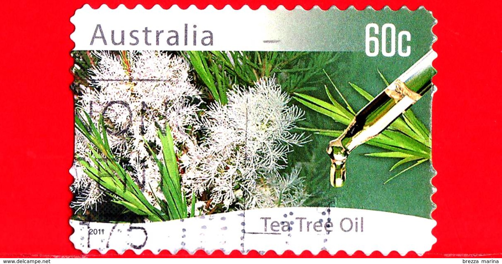 AUSTRALIA - Usato - 2011 - Agricoltura Australiana - Olio - Tea Tree Oil - 60 - Usati