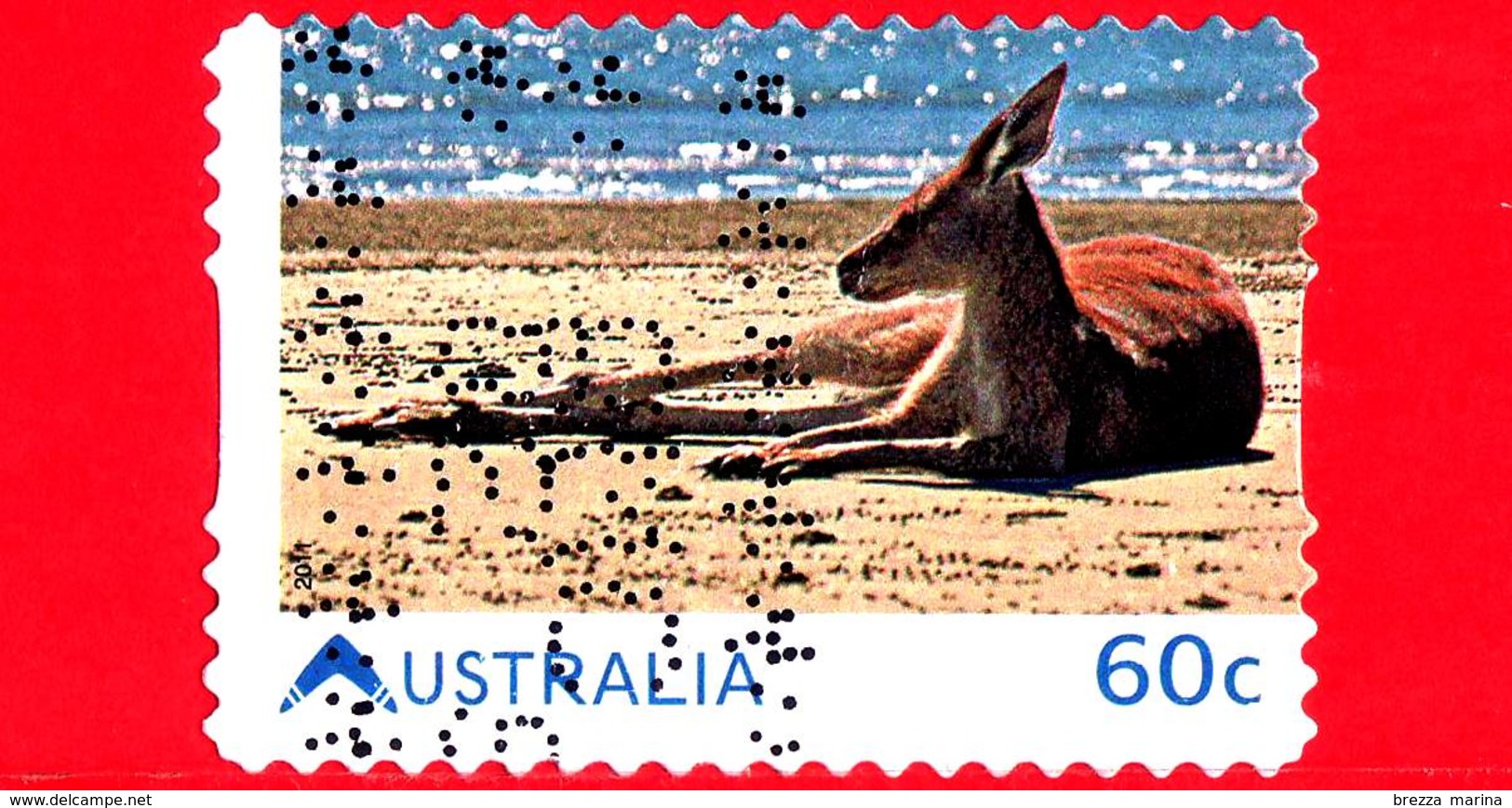 AUSTRALIA - Usato - 2011 - Vivere In Australia - Canguro - Red Kangaroo (Macropus Rufus) - 60 - Usati