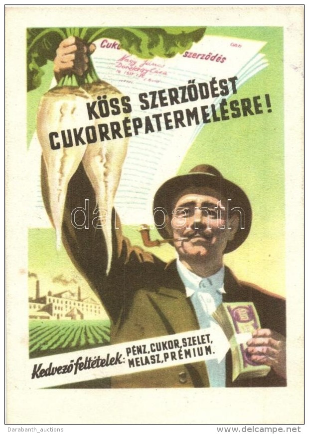 ** T2/T3 K&ouml;ss SzerzÅ‘d&eacute;st Cukorr&eacute;pa Termel&eacute;sre! / Hungarian Socialist Propagandacard,... - Unclassified