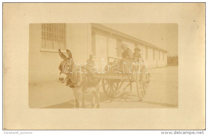 * T2 1918 Verona, Donkey Cart, Folklore, Photo - Unclassified