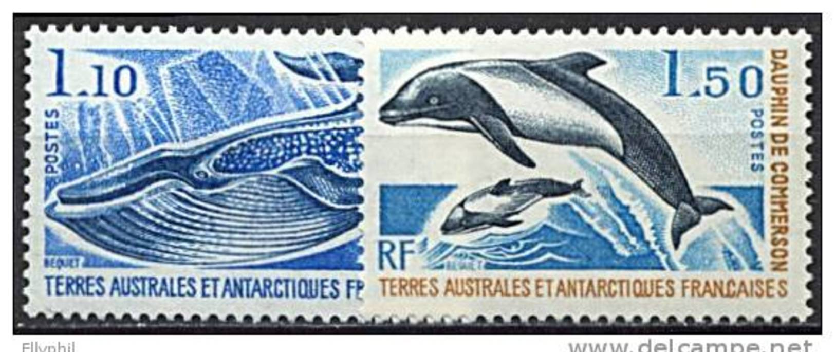 TAAF, N° 064 à N° 065** Y Et T, Cétacés, Rorqual, Dauphin, 64 / 65 - Neufs