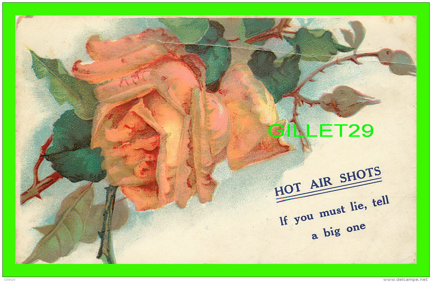 FLEURS ROSE - HOT AIR SHOTS, IF YOU MUST LIE, TELL A BIG ONE - TRAVEL IN 1910 - - Fleurs