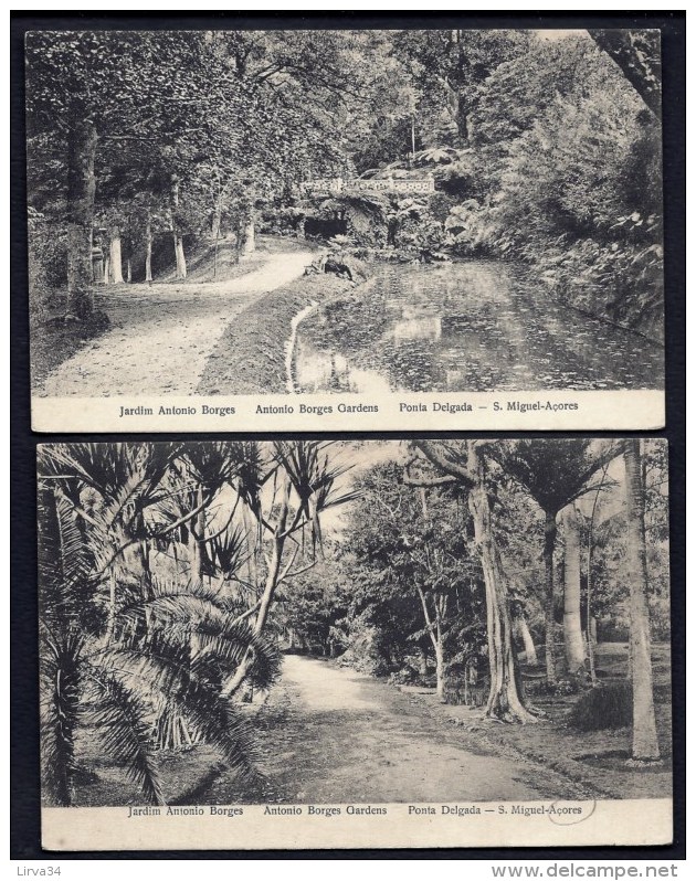 2 CPA ANCIENNES PORTUGAL- ACORES-  S. MIGUEL : JARDIN ANTONIO BORGES- ALLÉES- ARBRES EXOTIQUES- LE PONT - Açores