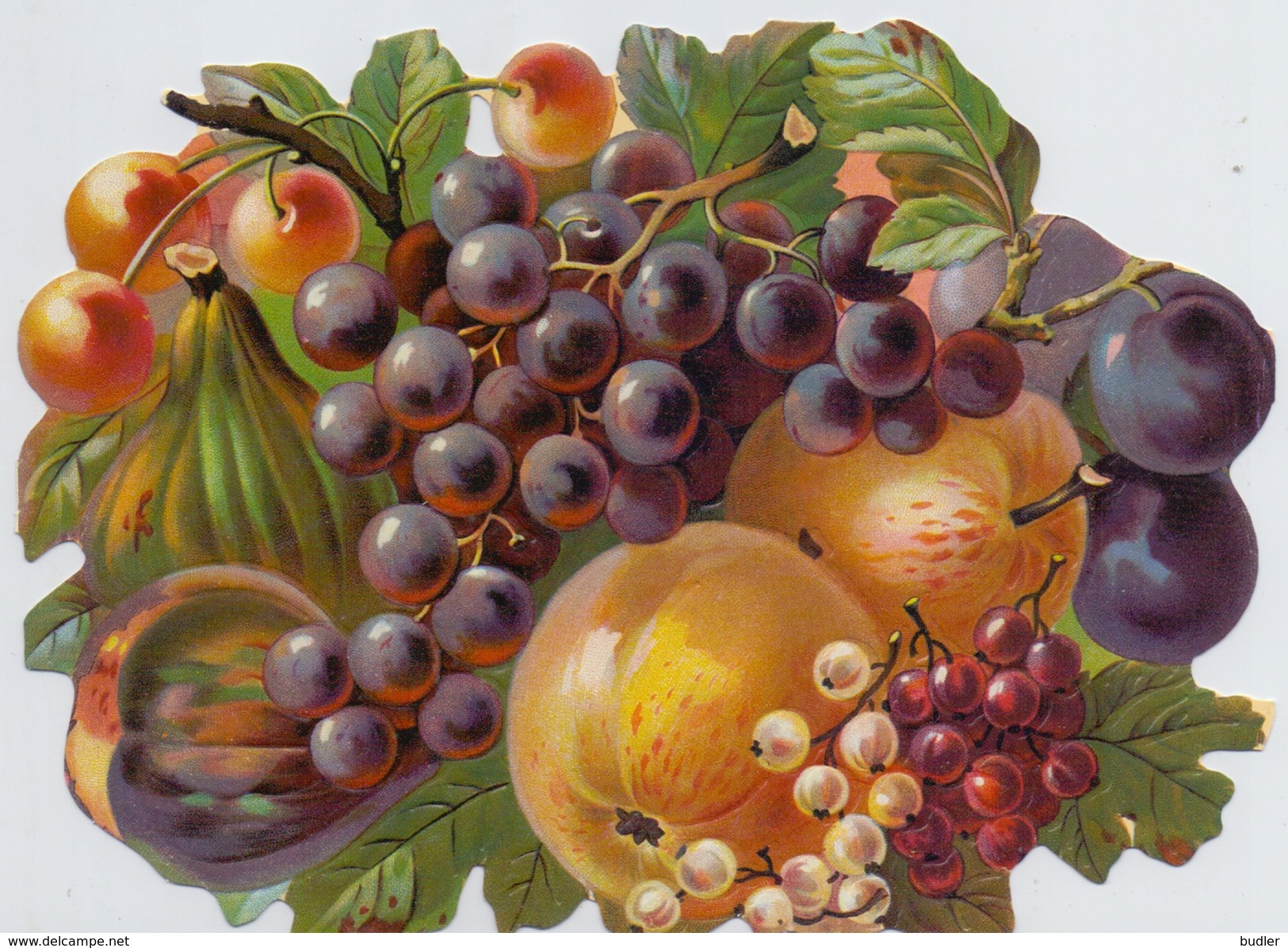 Gesneden Chromo's / Images Découpis : FRUIT,RAISINS,GRAPES,POMME,APPEL,APPLE0,KERSEN,CÉRISES,CHERRY, - Flowers