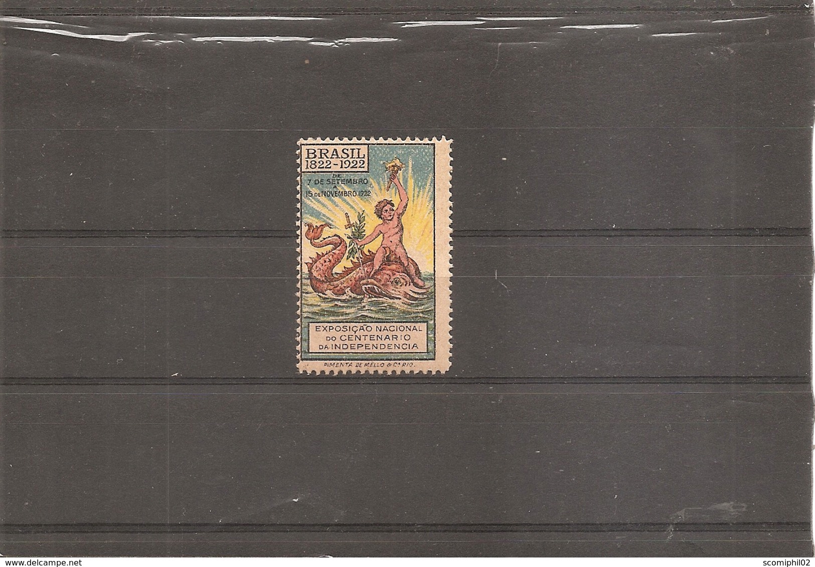 Brésil - Centenaire De L'indépendance ( Vignette Privée XXX -MNH- De 1922 à Voir) - Unused Stamps